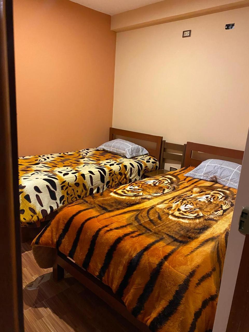 Aventura Chachapoyas Backpackers 호스텔 외부 사진