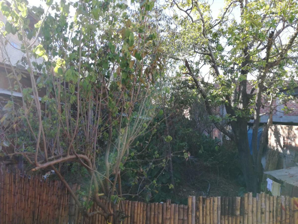 Aventura Chachapoyas Backpackers 호스텔 외부 사진